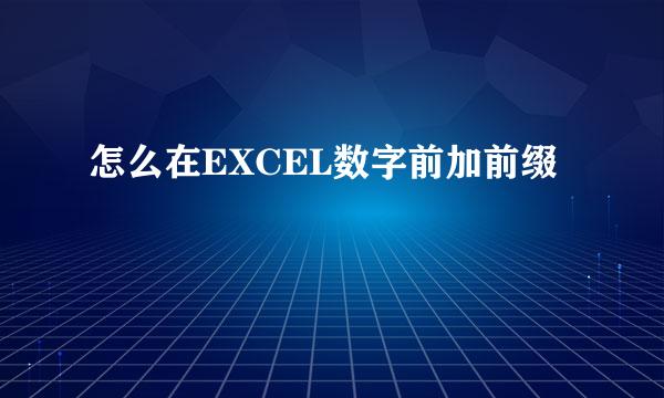 怎么在EXCEL数字前加前缀