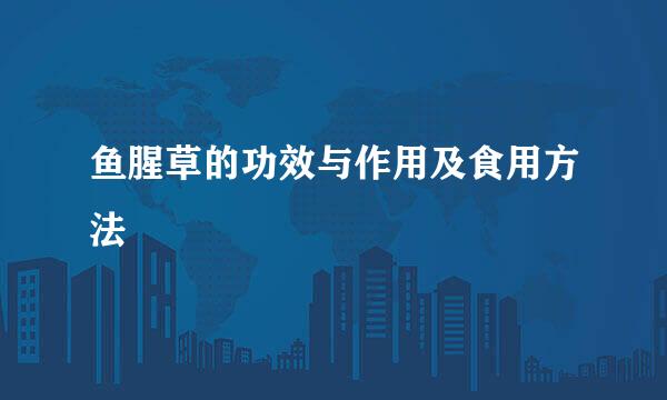 鱼腥草的功效与作用及食用方法