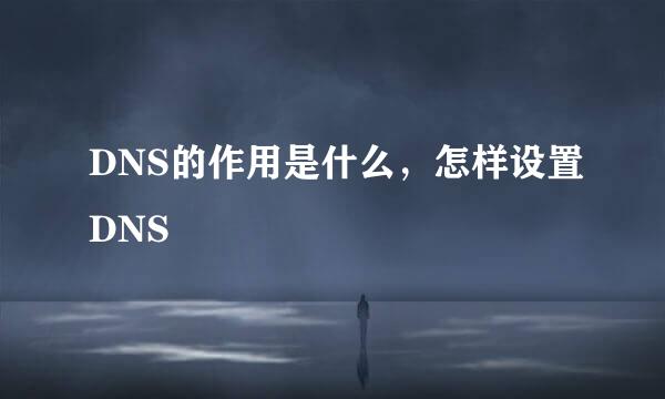 DNS的作用是什么，怎样设置DNS