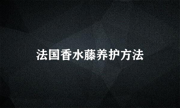 法国香水藤养护方法