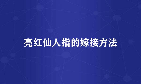 亮红仙人指的嫁接方法