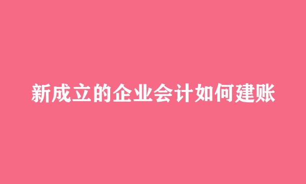 新成立的企业会计如何建账