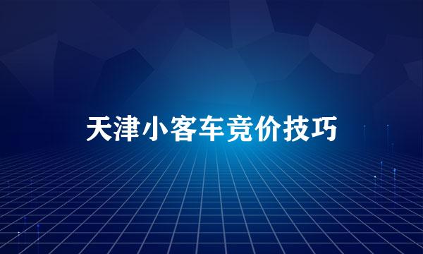 天津小客车竞价技巧