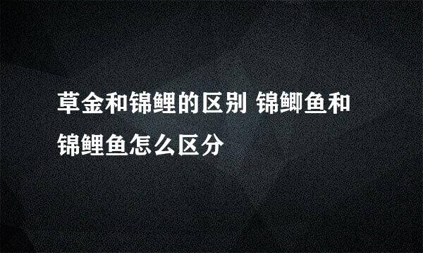 草金和锦鲤的区别 锦鲫鱼和锦鲤鱼怎么区分