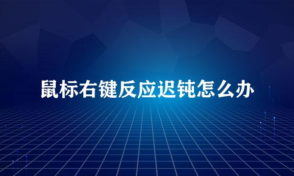 鼠标右键反应迟钝怎么办