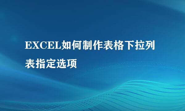 EXCEL如何制作表格下拉列表指定选项