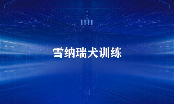 雪纳瑞犬训练