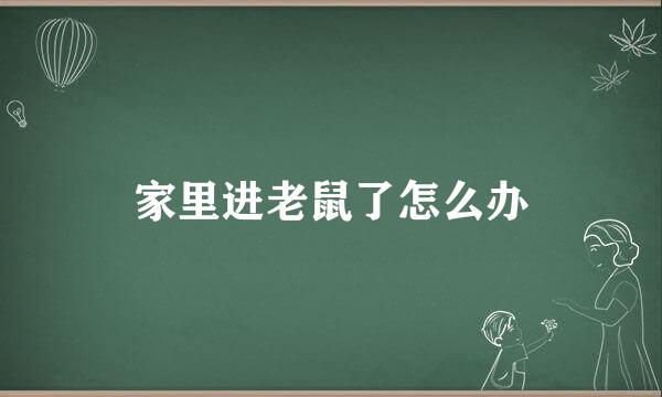 家里进老鼠了怎么办