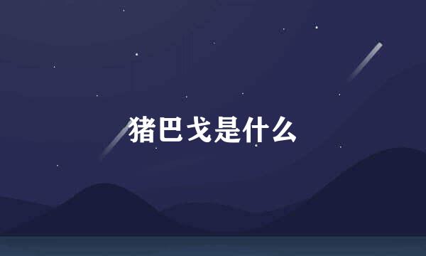 猪巴戈是什么