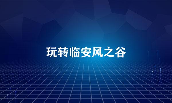 玩转临安风之谷