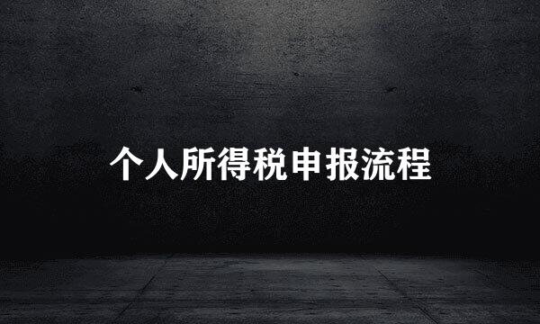 个人所得税申报流程