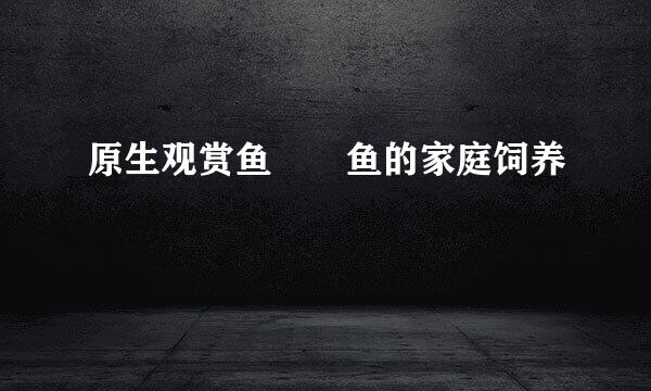 原生观赏鱼鳑鲏鱼的家庭饲养