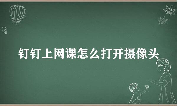 钉钉上网课怎么打开摄像头