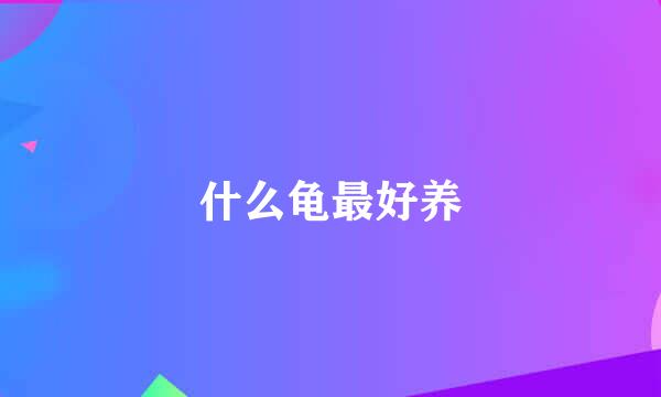 什么龟最好养