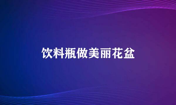 饮料瓶做美丽花盆