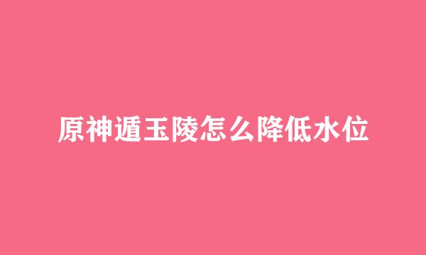 原神遁玉陵怎么降低水位