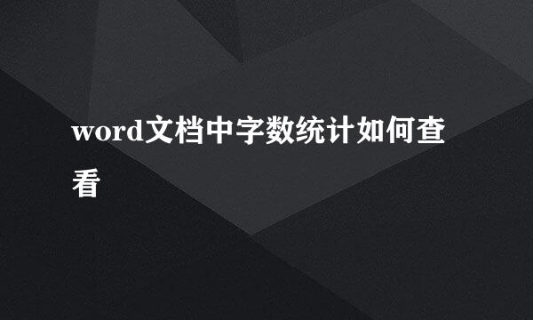 word文档中字数统计如何查看