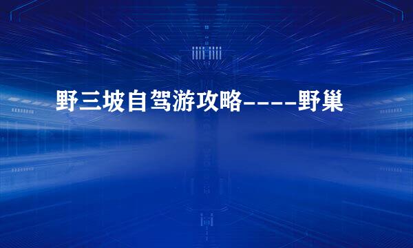 野三坡自驾游攻略----野巢
