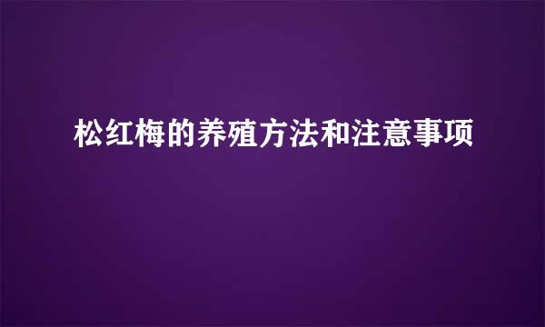 松红梅的养殖方法和注意事项