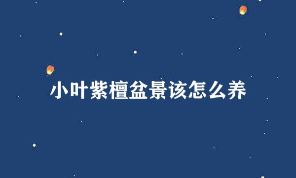 小叶紫檀盆景该怎么养