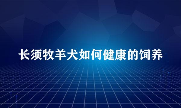 长须牧羊犬如何健康的饲养