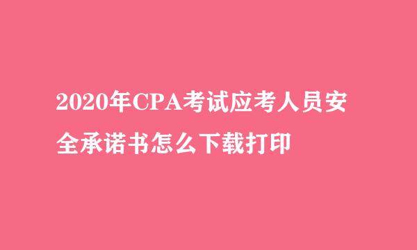 2020年CPA考试应考人员安全承诺书怎么下载打印