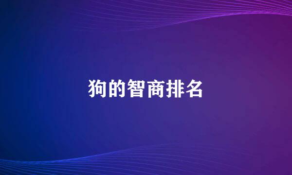 狗的智商排名