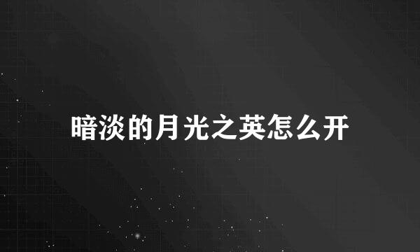 暗淡的月光之英怎么开