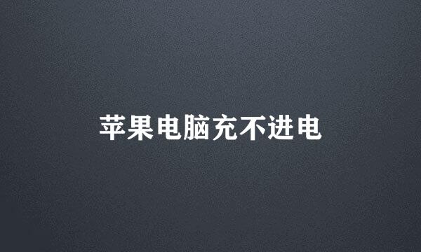 苹果电脑充不进电