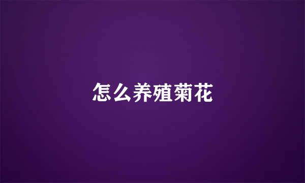 怎么养殖菊花