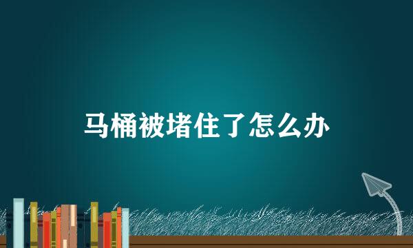 马桶被堵住了怎么办
