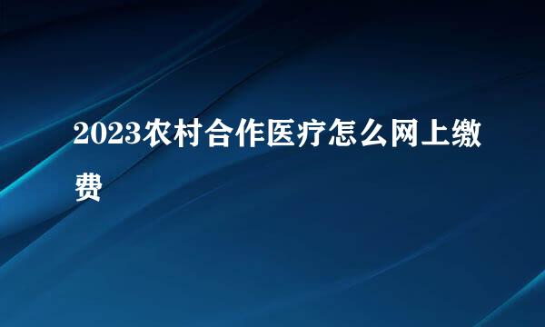 2023农村合作医疗怎么网上缴费