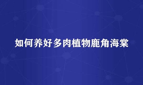 如何养好多肉植物鹿角海棠