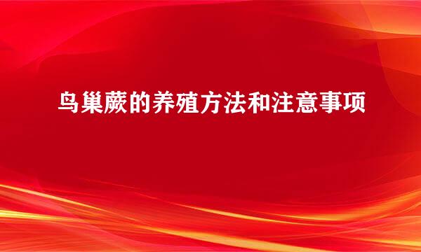 鸟巢蕨的养殖方法和注意事项