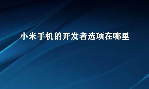 小米手机的开发者选项在哪里