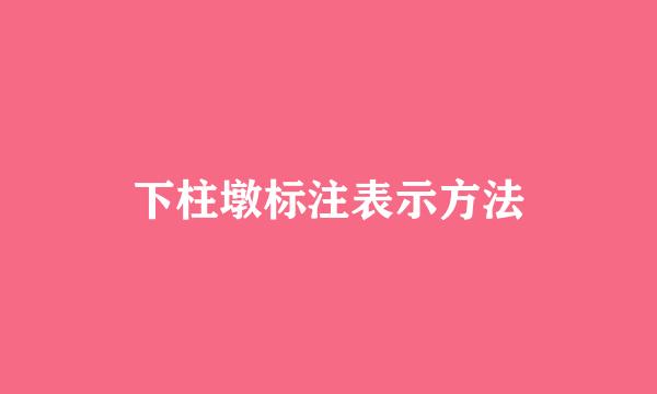 下柱墩标注表示方法