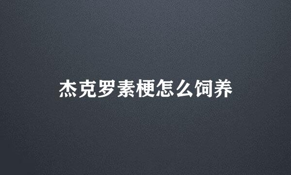 杰克罗素梗怎么饲养