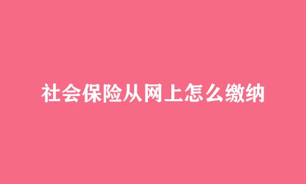 社会保险从网上怎么缴纳