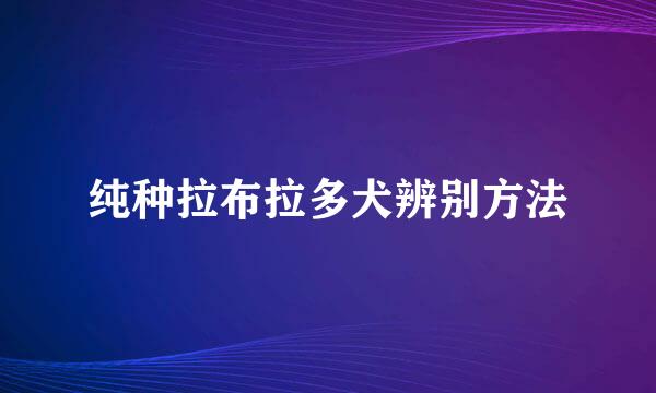 纯种拉布拉多犬辨别方法