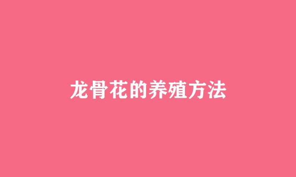 龙骨花的养殖方法