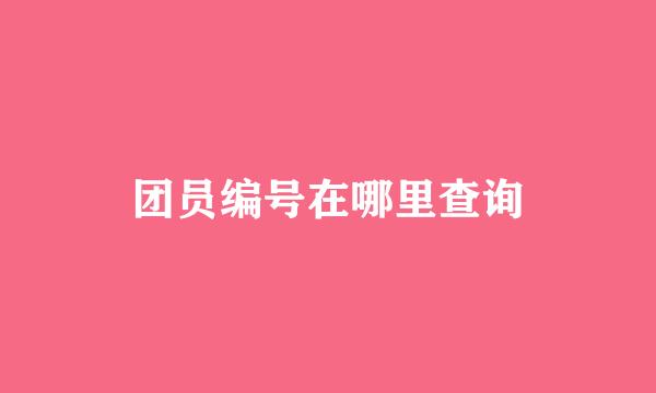 团员编号在哪里查询