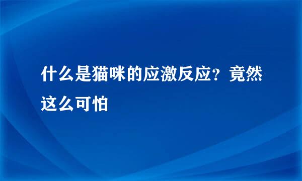 什么是猫咪的应激反应？竟然这么可怕