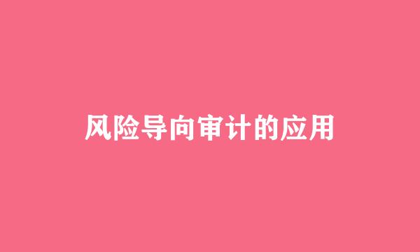 风险导向审计的应用