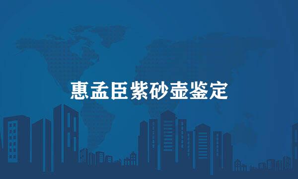 惠孟臣紫砂壶鉴定