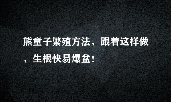 熊童子繁殖方法，跟着这样做，生根快易爆盆！