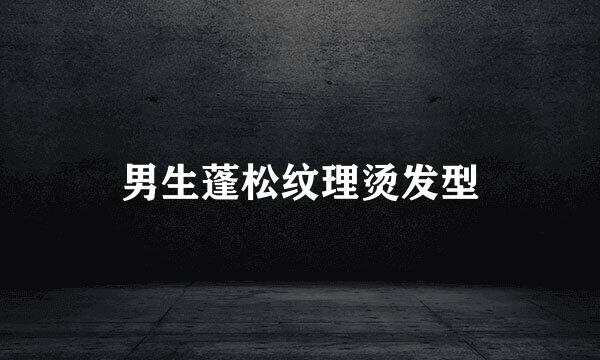 男生蓬松纹理烫发型