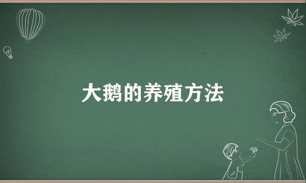 大鹅的养殖方法
