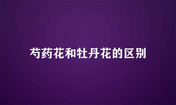 芍药花和牡丹花的区别