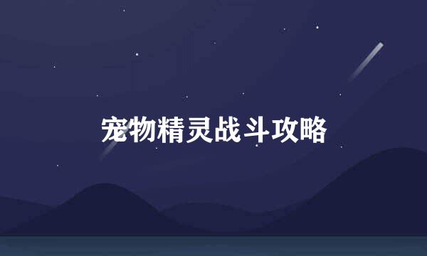 宠物精灵战斗攻略