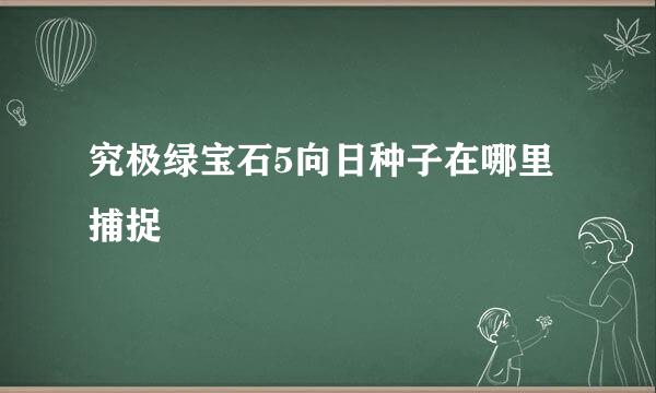 究极绿宝石5向日种子在哪里捕捉